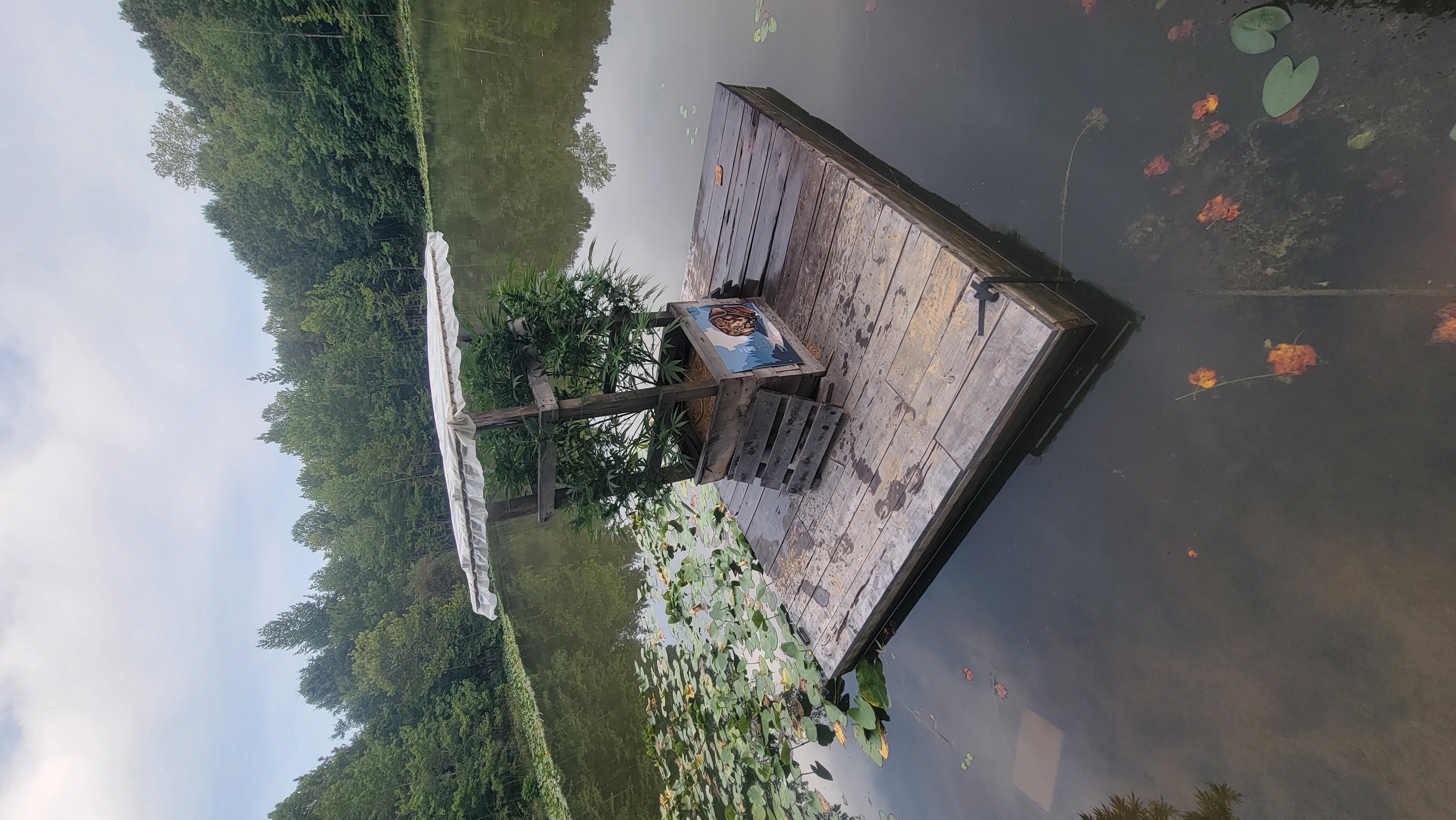 Dock Grow